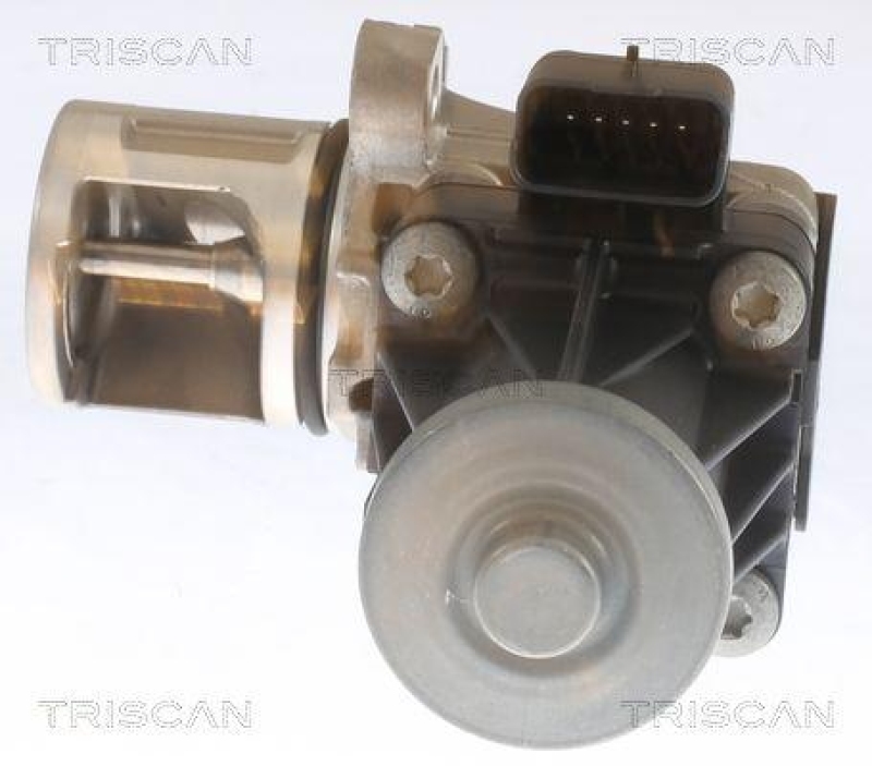 TRISCAN 8813 10053 Agr Ventil für Psa, Ford, Volvo