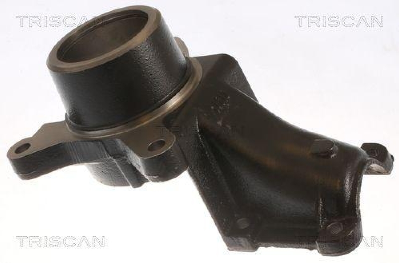 TRISCAN 8500 15701 Achsschenkel für Citroen, Fiat, Peugeot