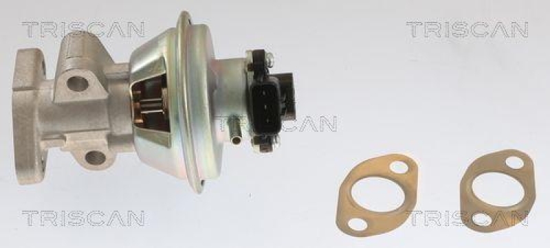 TRISCAN 8813 10054 Agr Ventil für Ford, Mazda