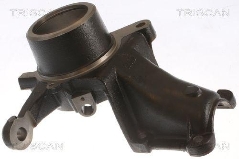 TRISCAN 8500 15708 Achsschenkel für Citroen, Fiat, Peugeot