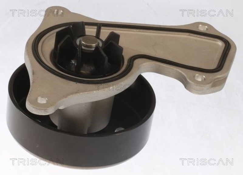 TRISCAN 8600 25095 Wasserpumpe für Nissan, Renault