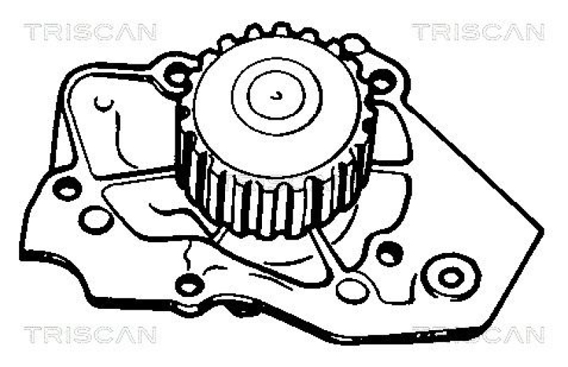 TRISCAN 8600 10409 Wasserpumpe für Citroen Bx, Peugeot 405