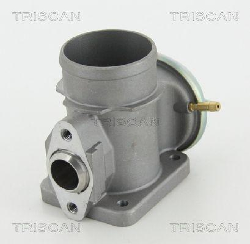 TRISCAN 8813 10101 Agr Ventil für Bmw/Opel