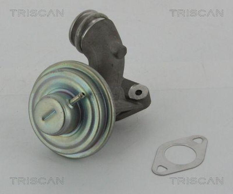 TRISCAN 8813 10102 Agr Ventil für Psa/Ford