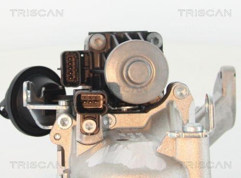 TRISCAN 8813 10103 Agr Ventil für Volvo/Ford/Psa