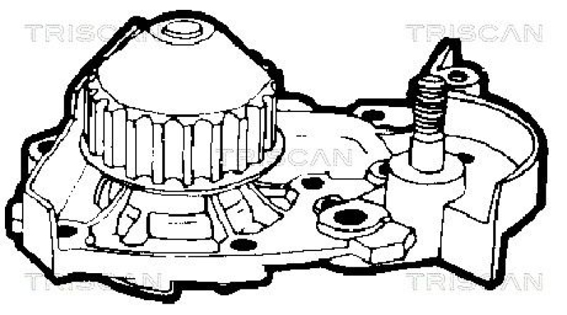 TRISCAN 8600 25876 Wasserpumpe für Renault: R19, 1.4 Ltr.