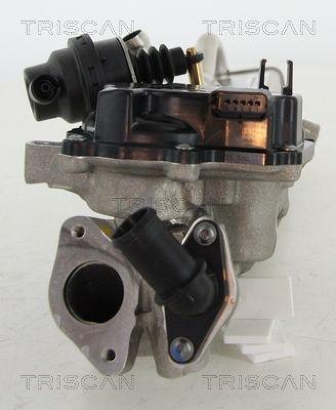 TRISCAN 8813 10203 Agr Ventil für Ford Volvo