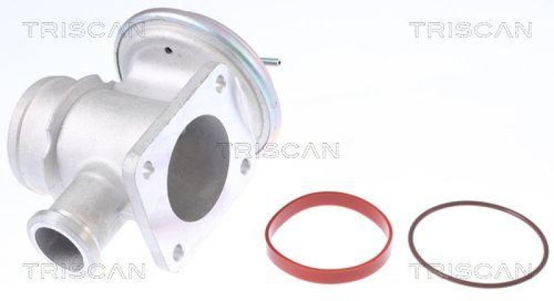 TRISCAN 8813 11004 Agr Ventil für Bmw