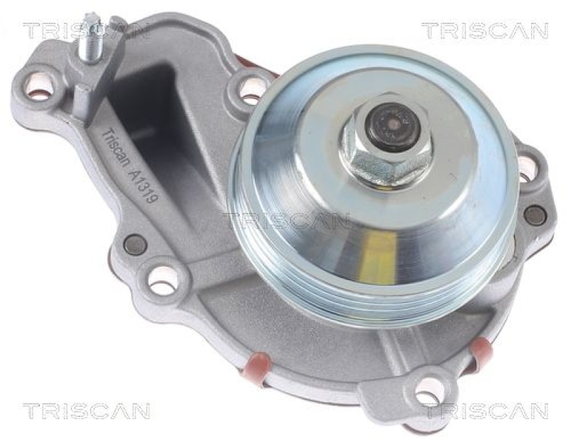 TRISCAN 8600 28026 Wasserpumpe für Psa