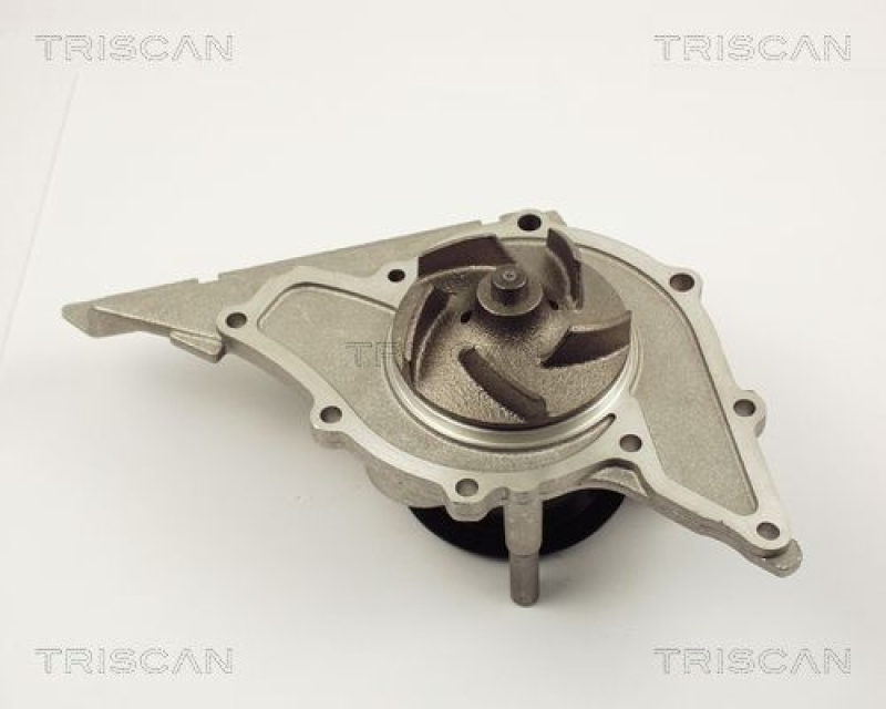 TRISCAN 8600 29028 Wasserpumpe für Audi