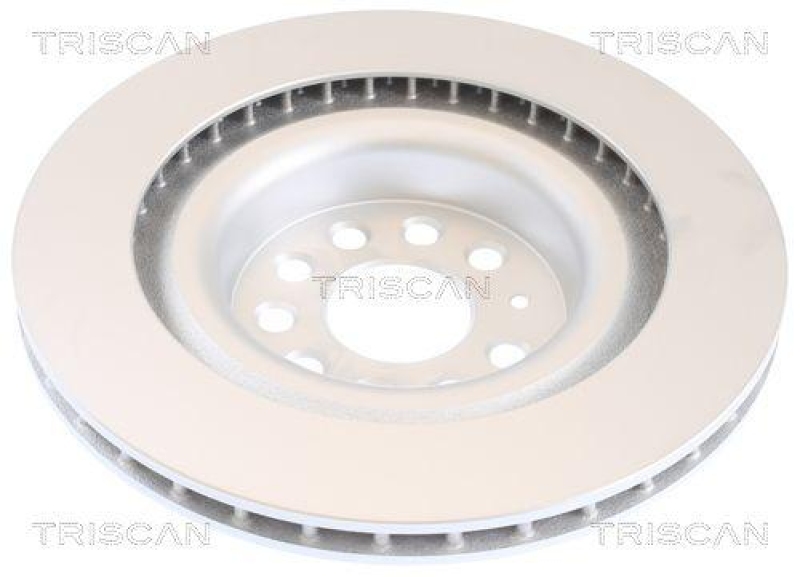 TRISCAN 8120 81007c Bremsscheibe Hinten, Coated für Tesla