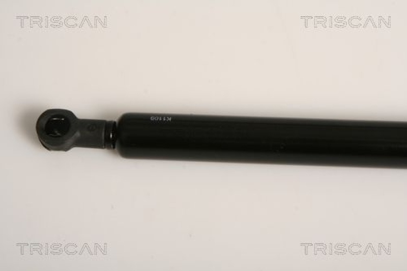 TRISCAN 8710 11231 Gasfeder Hinten für Bmw 3 Serie Coupe (E92)