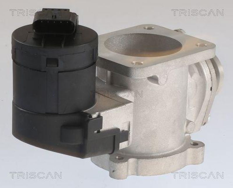 TRISCAN 8813 11020 Agr Ventil für Bmw