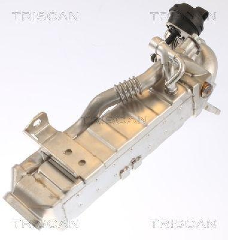 TRISCAN 8813 11022 für Bmw