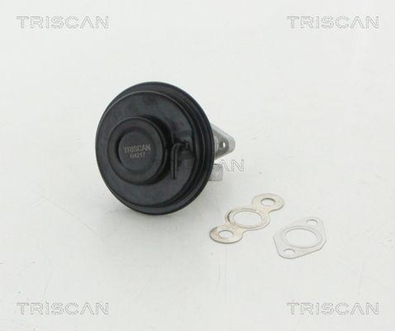 TRISCAN 8813 13030 Agr Ventil für Toyota