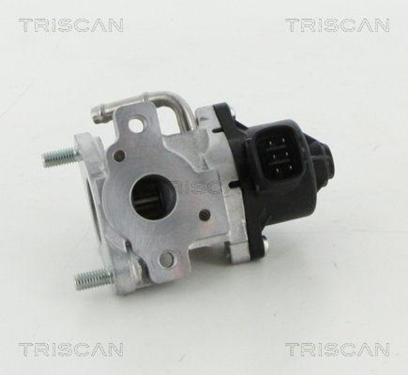 TRISCAN 8813 13057 Agr Ventil für Toyota