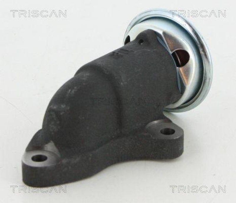 TRISCAN 8813 13064 Agr Ventil für Toyota