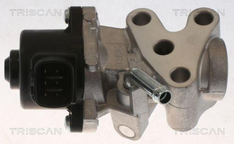 TRISCAN 8813 13069 Agr Ventil für Toyota, Psa