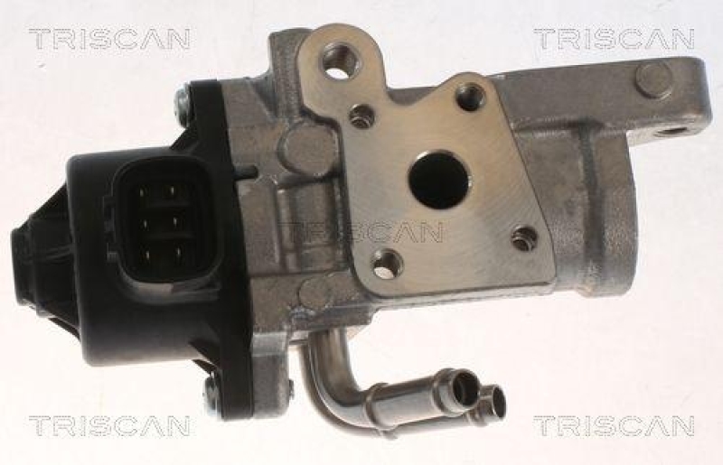 TRISCAN 8813 13070 Agr Ventil für Toyota, Psa