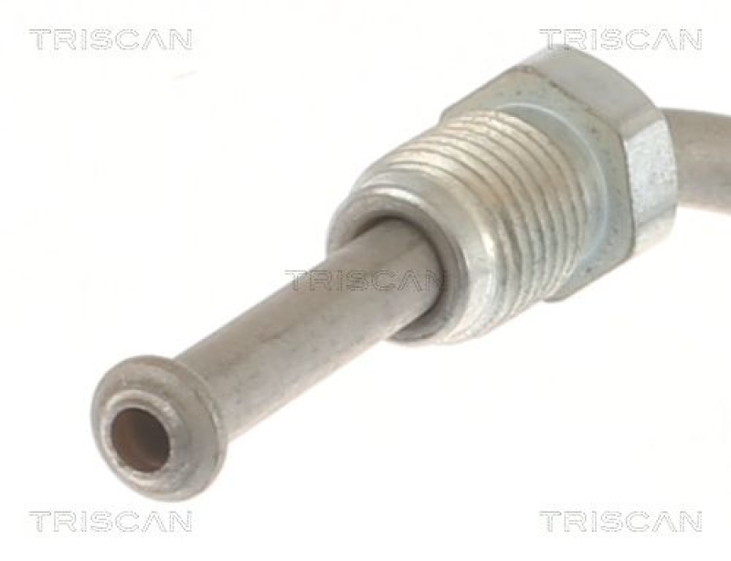 TRISCAN 8150 292023 Bremsschlauch Hinten für Audi, Seat, Skoda, Vw