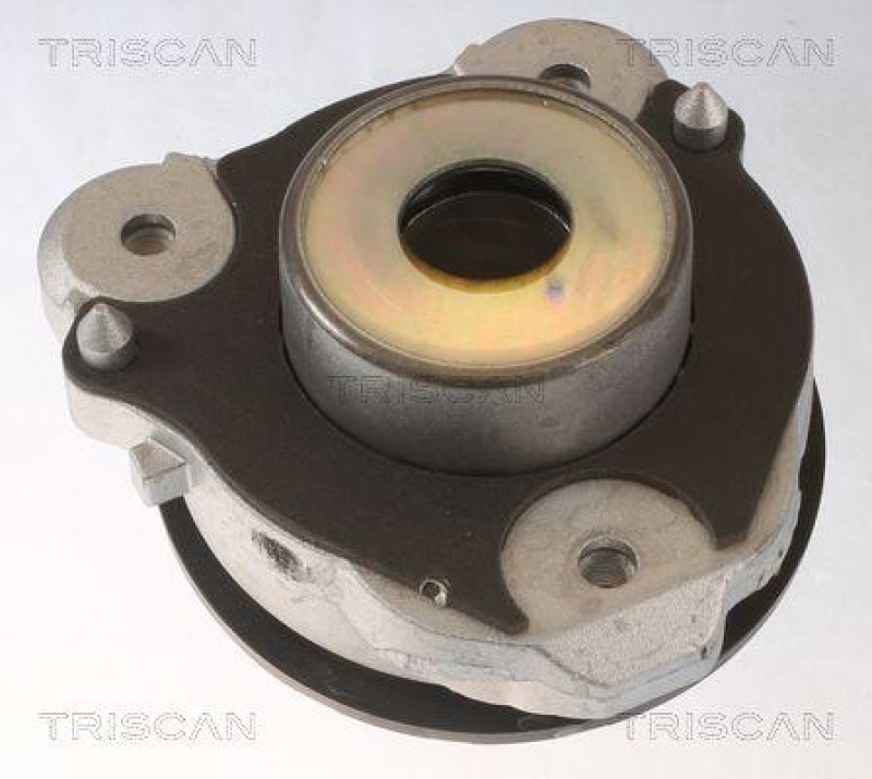 TRISCAN 8500 15919 Federbeinlagersatz für Fiat Ducato