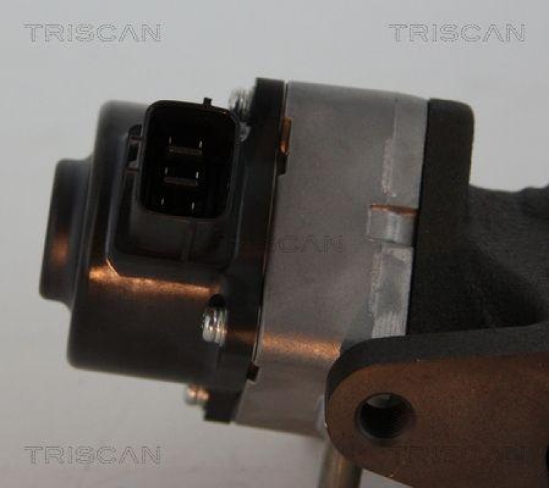 TRISCAN 8813 14005 Agr Ventil für Nissan/Renault/Opel