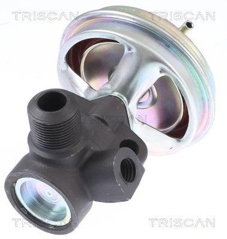 TRISCAN 8813 14008 Agr Ventil für Nissan