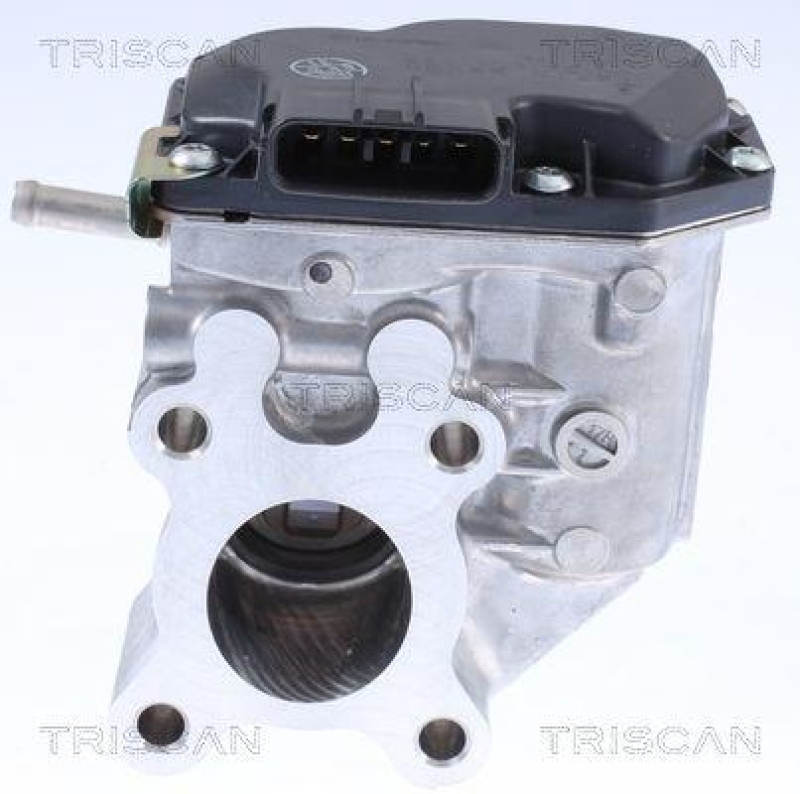 TRISCAN 8813 14015 Agr Ventil für Nissan