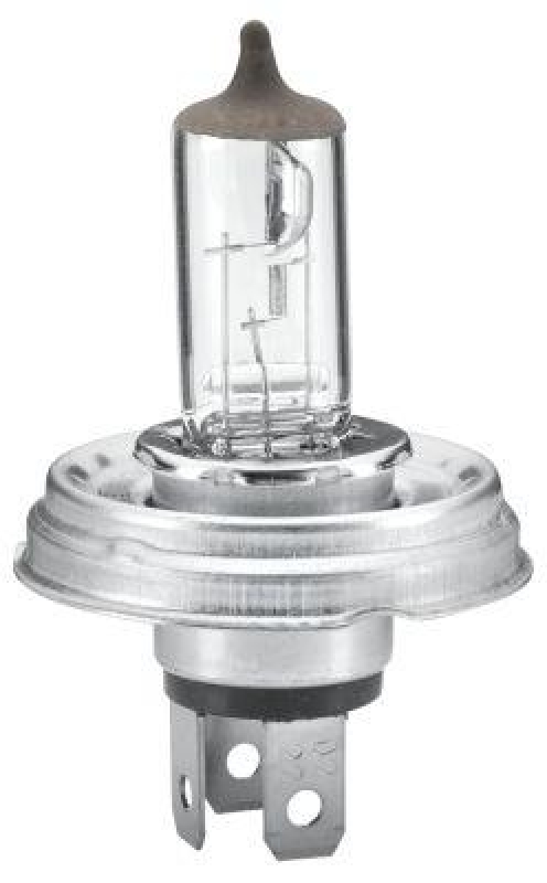 HELLA 8GD 002 088-141 Glühlampe STANDARD