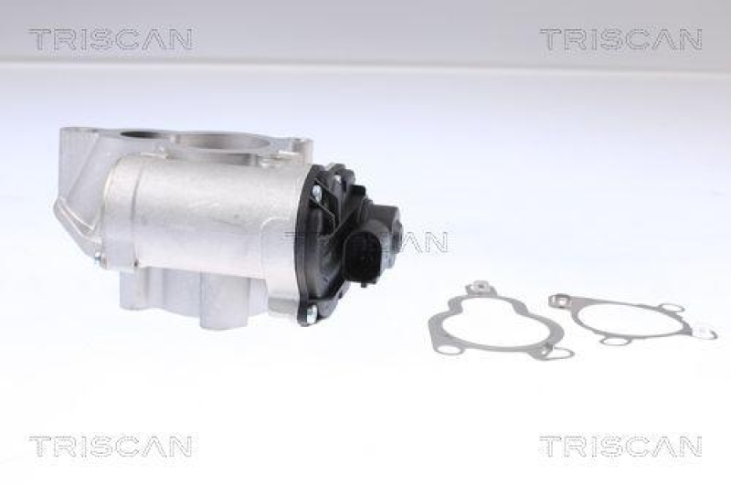 TRISCAN 8813 14025 Agr Ventil für Nissan