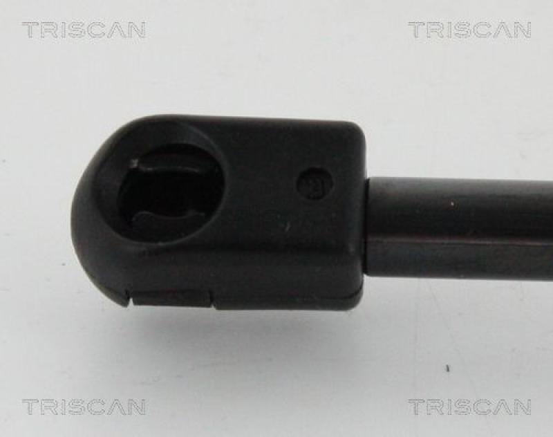 TRISCAN 8710 24257 Gasfeder Hinten für Opel Combo