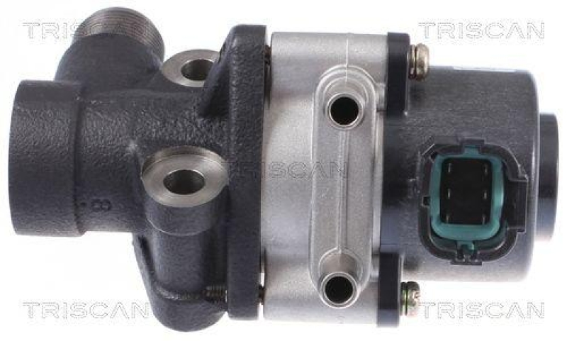 TRISCAN 8813 14026 Agr Ventil für Nissan Almera