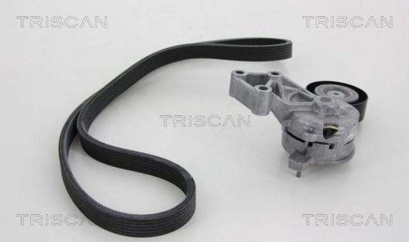 TRISCAN 8642 10011 Keilrippenriemensatz für Audi, Ford, Seat, Vw