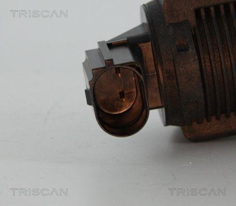 TRISCAN 8813 15032 Agr Ventil für Fiat/Psa