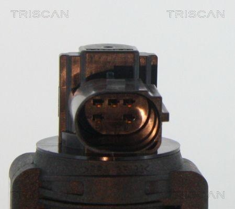 TRISCAN 8813 15063 Agr Ventil für Fiat/Psa