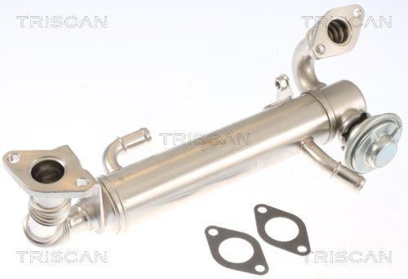 TRISCAN 8813 15074 Agr Ventil für Fiat, Iveco