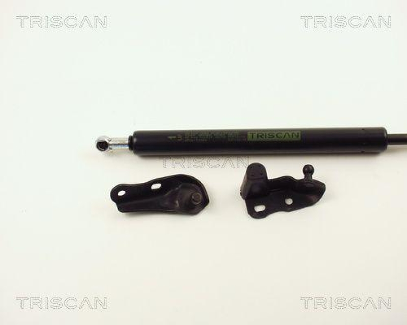 TRISCAN 8710 13264 Gasfeder Hinten für Toyota Aventis Verso M20