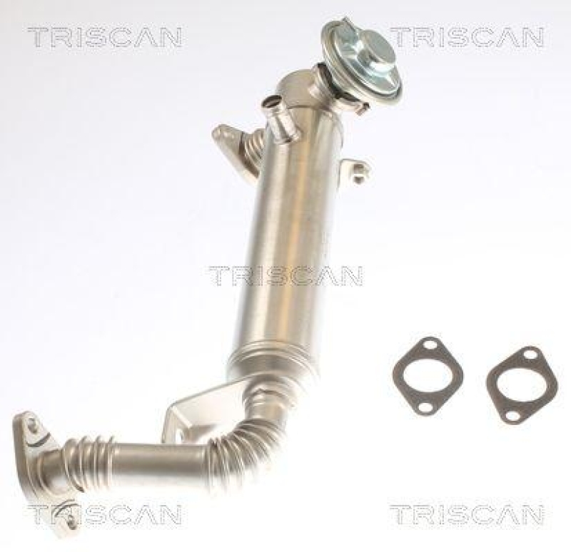 TRISCAN 8813 15075 für Fiat Ducato