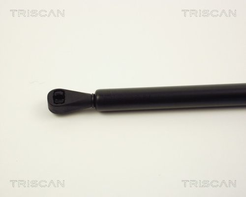 TRISCAN 8710 2504 Gasfeder Hinten für Renault R5