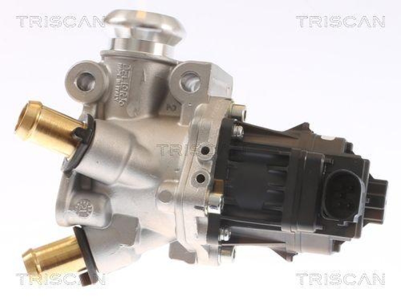 TRISCAN 8813 15076 Agr Ventil für Fiat Ducato