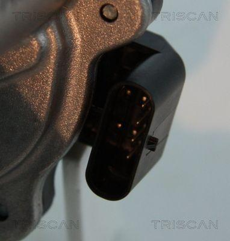 TRISCAN 8813 15206 Agr Ventil für Fiat