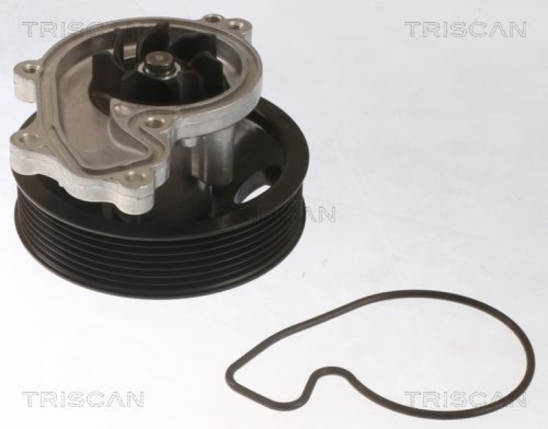 TRISCAN 8600 40020 Wasserpumpe für Honda