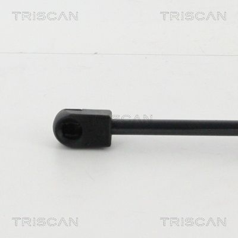 TRISCAN 8710 25105 Gasfeder Vorne für Renault Megane