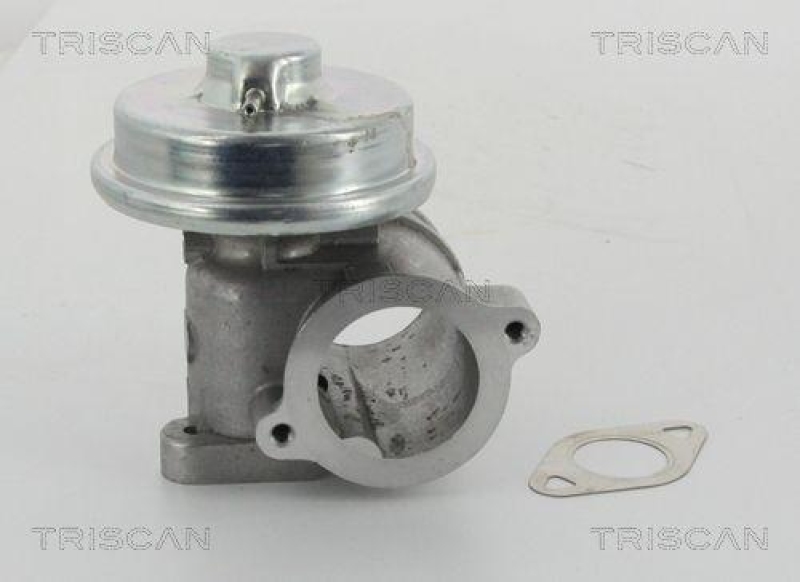 TRISCAN 8813 16010 Agr Ventil für Ford/Volvo/Mazda