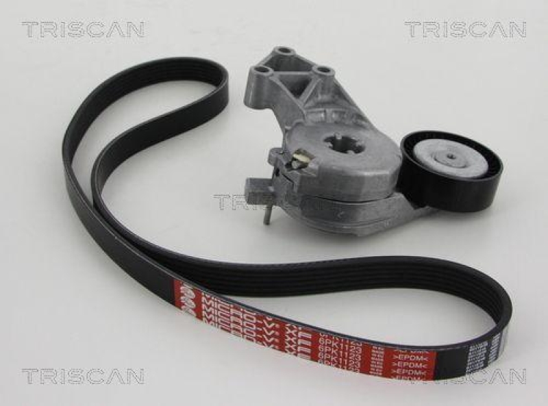 TRISCAN 8642 29003 Keilrippenriemensatz für Audi, Seat, Skoda, Vw