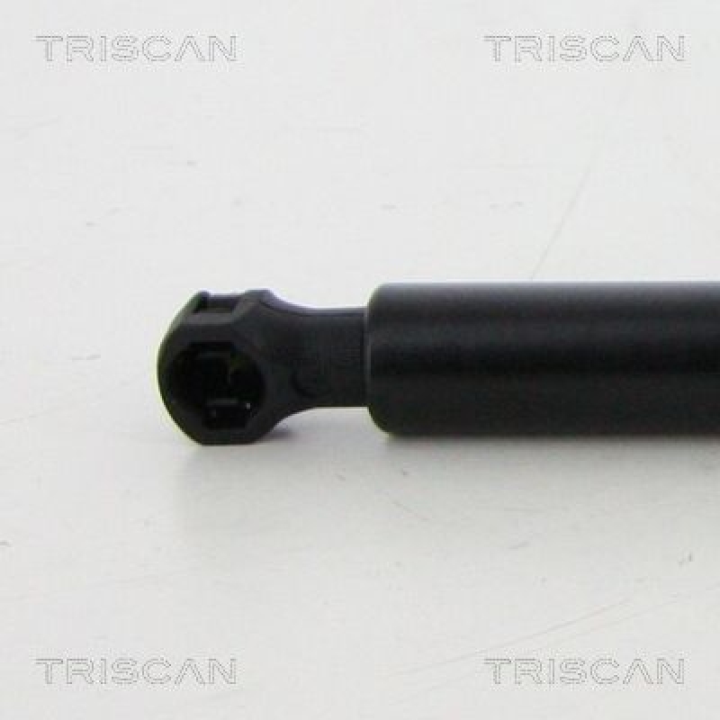 TRISCAN 8710 25111 Gasfeder Vorne für Renault