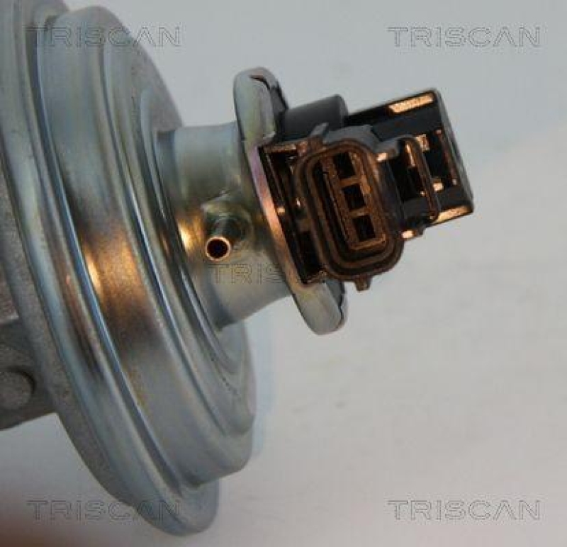 TRISCAN 8813 16045 Agr Ventil für Ford/Volvo/Mazda