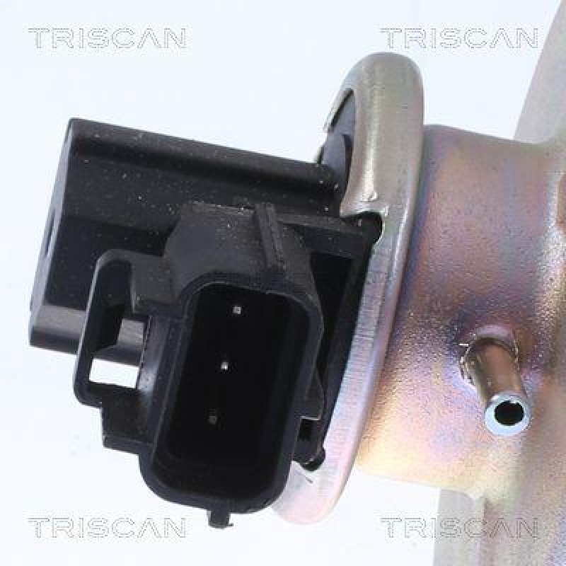 TRISCAN 8813 16054 Agr Ventil für Ford/Volvo/Mazda