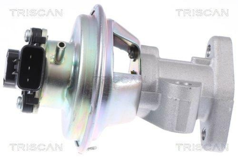 TRISCAN 8813 16069 Agr Ventil für Ford/Landrover