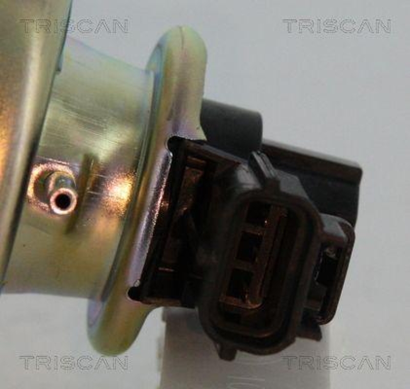 TRISCAN 8813 16102 Agr Ventil für Ford